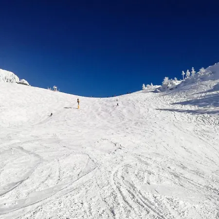 Bergblick Sonnenalpe Nassfeld