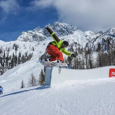 Appartement Bergblick *