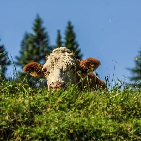 Apartment Bergblick Sonnenalpe Nassfeld