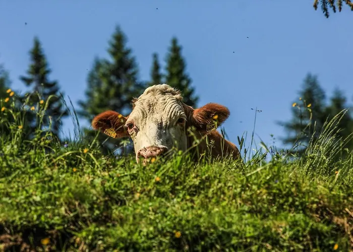 Apartmán Bergblick Sonnenalpe Nassfeld